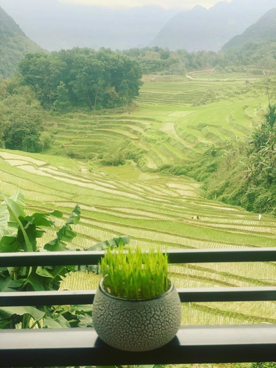Bed and Breakfast Puluong Aroma Huong Ba Thuoc Exterior foto